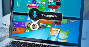 Windows 10 come fare Downgrade a Windows 8.1 Windows 7